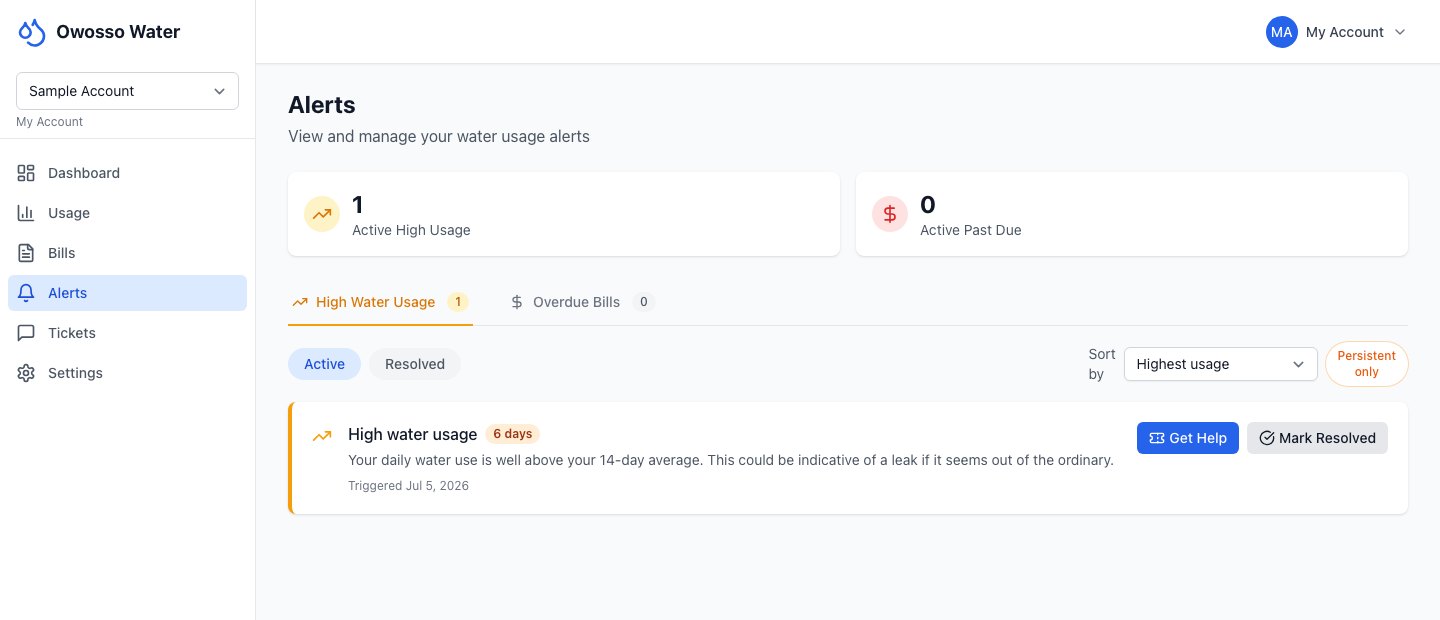 The portal&rsquo;s Alerts view: a High water usage alert, marked six days, reading &lsquo;Your daily water use is well above your 14-day average. This could be indicative of a leak if it seems out of the ordinary.&rsquo;